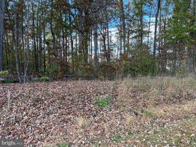 /international/us/lot-9-rainbow-ridge-bumpass-va-110088166641/?lang=en