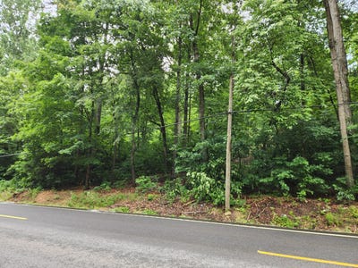 /international/us/highway-411-old-fort-tn-110108889193/