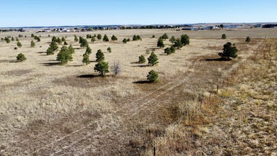 /international/us/parcel-a-couny-road-98-elbert-co-110103143903/