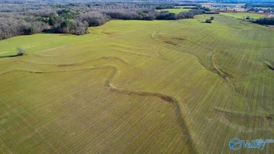 /international/us/237-acres-narrow-lane-new-market-al-110095949734/?lang=zh-tw