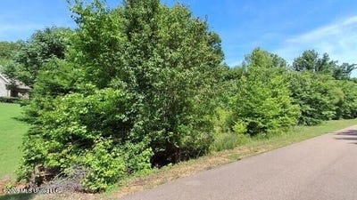 /international/us/4419-w-dickens-place-drive-lot-502-southaven-ms-110108358388/