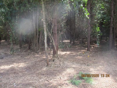 /international/us/5218-cr-8-pansey-al-110101475437/?lang=zh-tw