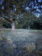 /international/us/tr-4-n-oakwood-trail-lot-4-noel-mo-110120410070/