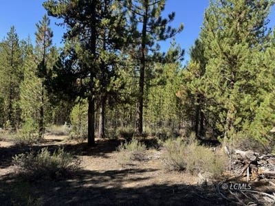 /international/us/crescent-moon-drive-crescent-lake-or-110102996438/