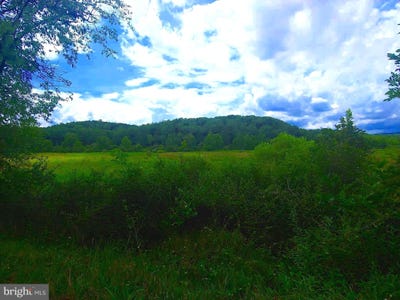 /international/us/bear-hill-road-oldtown-md-110100428157/