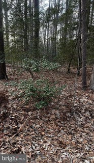 /international/us/lot-33-richardson-st-hague-va-110097773971/