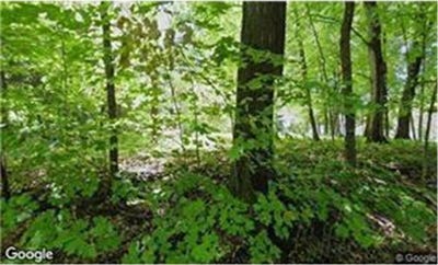 /international/us/25975-wild-rose-lane-shorewood-mn-110105276225/
