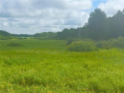 /international/us/000-370th-avenue-richardson-twp-mn-110101507009/?lang=pt