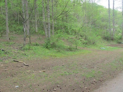 /international/us/keathley-fork-toler-creek-harold-ky-110104445183/