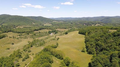 /international/us/275-old-us-219-rd-buckeye-wv-110108935200/