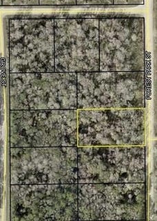 /international/us/2068-forest-park-street-bunnell-fl-110105765335/