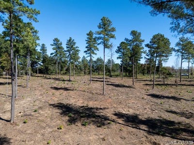 /international/us/lot-1-christiana-highway-lawrenceville-va-110100813586/
