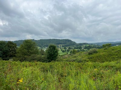 /international/us/fairway-view-drive-peterstown-wv-110107253822/