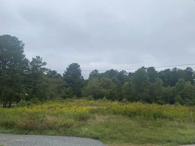 /international/us/740-cornelius-street-hillsborough-nc-110087494087/