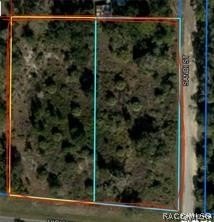 /international/us/hwy-40-e-inglis-fl-110110270307/