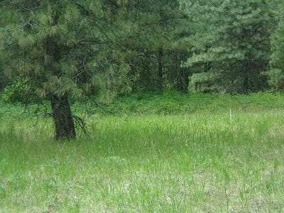 /international/us/x12x-hoag-rd-valley-wa-110100564291/?lang=zh-tw