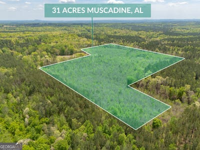 /international/us/0-county-road-49-muscadine-al-110098961861/