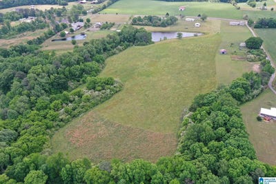 /international/us/school-house-road-lot-0-baileyton-al-110119966420/