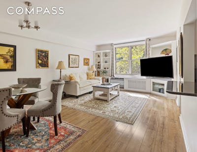 /international/us/309-e-87th-street-new-york-ny-110110365926/