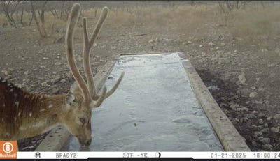 /international/us/371-axis-court-melvin-tx-110108141530/