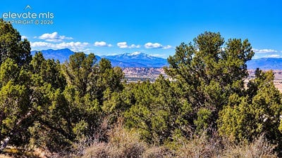 /international/us/newton-road-pueblo-co-110120589657/