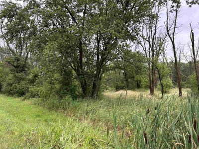 /international/us/beaver-road-freeport-il-110093328007/