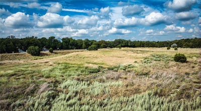 /international/us/10-crazy-cross-rd-wimberley-tx-110120019830/