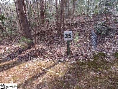 /international/us/11-matthews-creek-lane-cleveland-sc-110105842886/