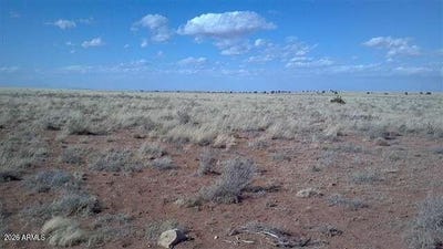 /international/us/chevelon-cyn-ranch-unit-3-lot-487-heber-az-110120037908/