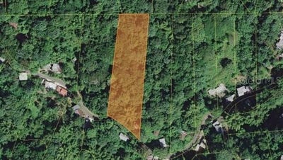 /international/us/pr-354-km-6-4-marini-community-quemado-ward-mayaguez-pr-110107807589/