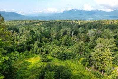 /international/us/route-11-30-lot-3-winhall-vt-110086007144/