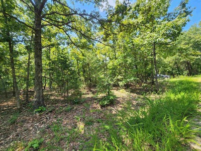 /international/us/l-1-2-3-b-19-nicatouse-drive-cherokee-village-ar-110101518680/?lang=pt