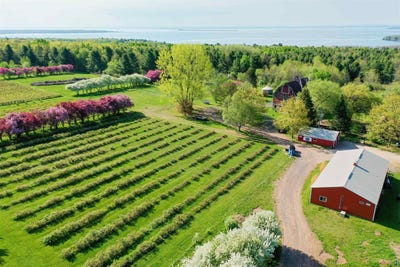 /international/us/34045-s-county-hwy-j-bayfield-wi-110107825806/