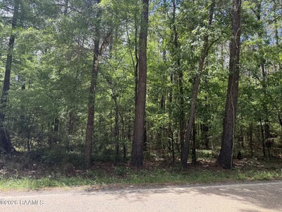 /international/us/oakdale-tracts-1-3-road-lot-tract-1-3-of-plat-oakdale-la-110107150912/