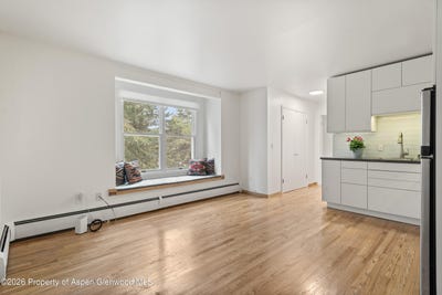 /international/us/415-pacific-avenue-aspen-co-110108198432/