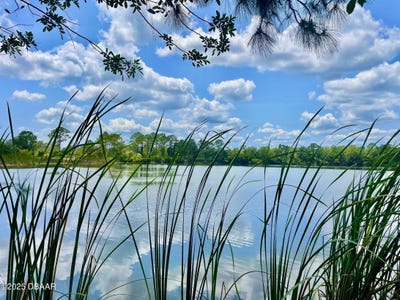 /international/us/5000-blounts-ridge-road-mims-fl-110099300214/?lang=zh-cn
