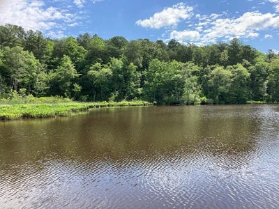 /international/us/rockfish-road-heathsville-va-110096745370/