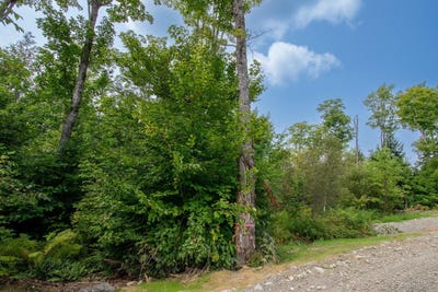 /international/us/bear-brook-subdivision-lot-1-sebec-me-110104587627/