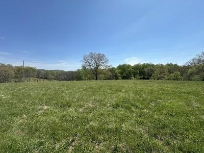 /international/us/515-jericho-rd-lot-2-quebeck-tn-110105409941/