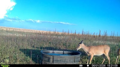 /international/us/tbd-county-road-86-limon-co-110105216749/