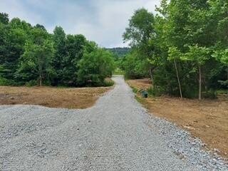 /international/us/1112-covered-bridge-road-wallingford-ky-110101491105/