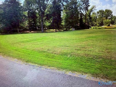 /international/us/lot-sherwood-blvd-fyffe-al-110100753583/?lang=zh-tw