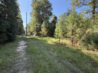 /international/us/parcel-31432-cr-3385-lovelady-tx-110110363242/