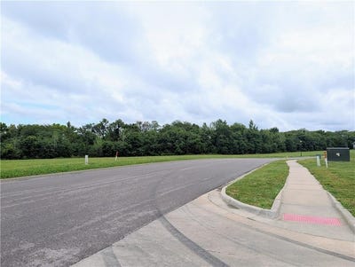 /international/us/vintage-drive-excelsior-springs-mo-110120497231/
