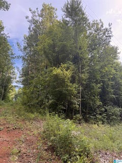 /international/us/0-county-road-228-maplesville-al-110101177088/?lang=zh-cn