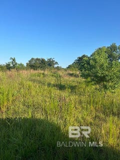 /international/us/0-lowery-landing-road-brewton-al-110101176425/?lang=zh-tw