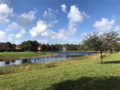 /international/us/3783-pino-vista-way-estero-fl-110104879331/
