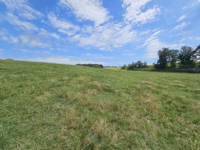 /international/us/10-acres-state-highway-f-anderson-mo-110120484279/
