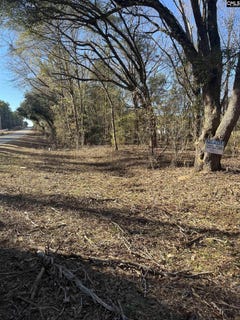 /international/us/tbd-swansea-road-tract-a-swansea-sc-110097036984/?lang=zh-tw