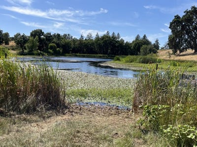/international/us/13555-oakstream-rd-plymouth-ca-110101873137/
